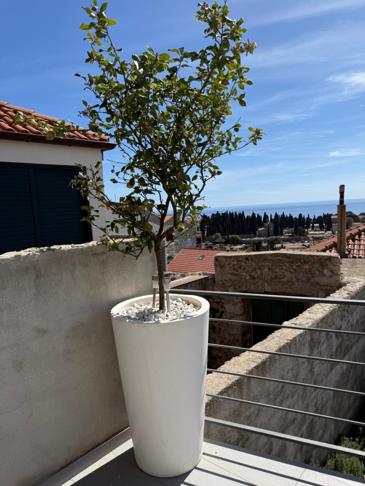 Apartma Lemon Tree